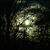:iconaiaka-sakura: