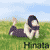 :iconaida11: