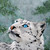 :iconaieren: