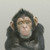 :iconaijographics: