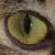 :iconaik13: