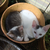 :iconaik826: