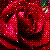 :iconails-twilights: