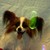 aimeandyaoilover :iconaimeandyaoilover:
