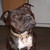 :iconaimee-lloyd-93: