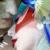 AimSaru :iconaimsaru: