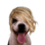 :iconaintreally: