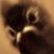 :iconainvarfilid: