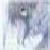 :iconaippi: