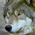 :iconaipril:
