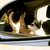 :iconairamariam: