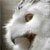 :iconairashna: