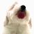 :iconairbending24: