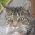 :iconairbrushanything: