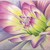 :iconairbrushfanatik: