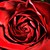 :iconairdsgainne: