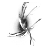 :iconairgiod: