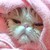Airihn :iconairihn: