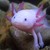 :iconairra1412: