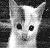 :iconairrocket: