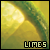 :iconairwen: