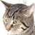 :iconairy-arts: