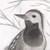 :iconaisuhoshi: