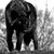 :iconaj-419: