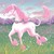 :iconaj222: