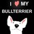 :iconaj31710:
