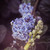 :iconaj333photography: