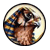 :iconajd-re-wind: