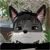 :iconajfox: