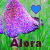 :iconajkphotography: