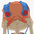 :iconaka-rob-o: