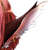 :iconakai-mirror: