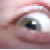 :iconakaiakumu: