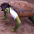 :iconakandofharakon: