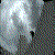 :iconakane1022:
