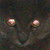:iconakaneaiko: