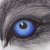 :iconakanexkyoshu: