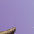 :iconakarshanbhardela: