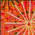 :iconakaruime9: