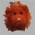 :iconakashoto: