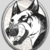 :iconakatora1770: