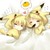 :iconakatzuki-girl: