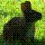 :iconakbunnys: