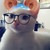 :iconakecki: