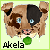 :iconakelakins: