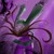 :iconakella-712: